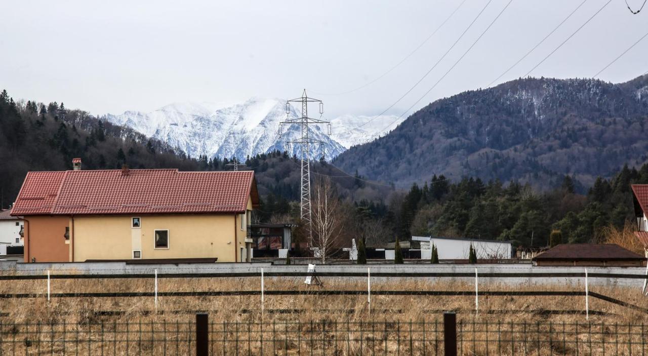 Carpen View Residence Săcele Eksteriør bilde