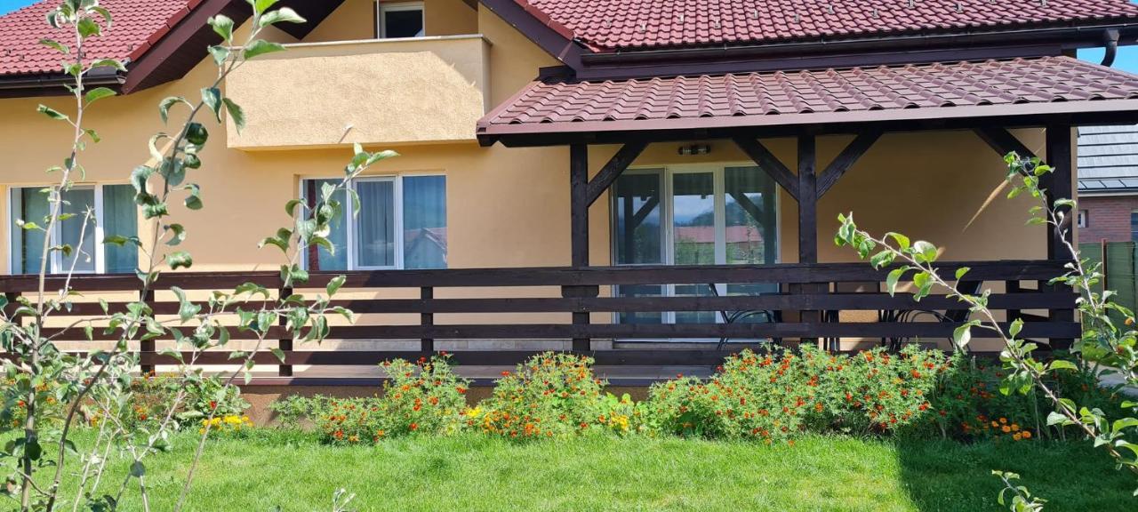 Carpen View Residence Săcele Eksteriør bilde