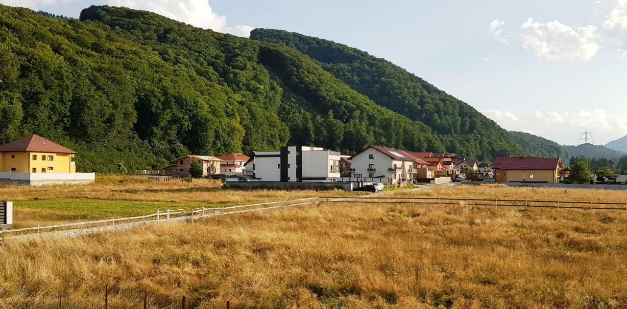 Carpen View Residence Săcele Eksteriør bilde